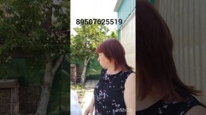 13.06.26.Пуховые платки,шкуры,косынки,кофточки,пончо,жакет ирландское кружево,варежки,пледы.