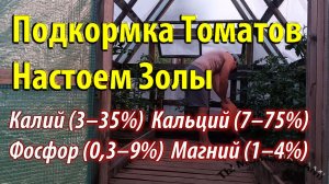 Подкормка Томатов Настоем Золы