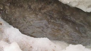 артезианская вода в колодце