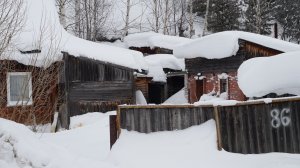 Композиция «Зимний пейзаж» 2026 год.
