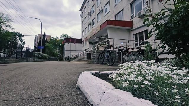 Практическая работа №7 "WALLDO" Наметкина Александра