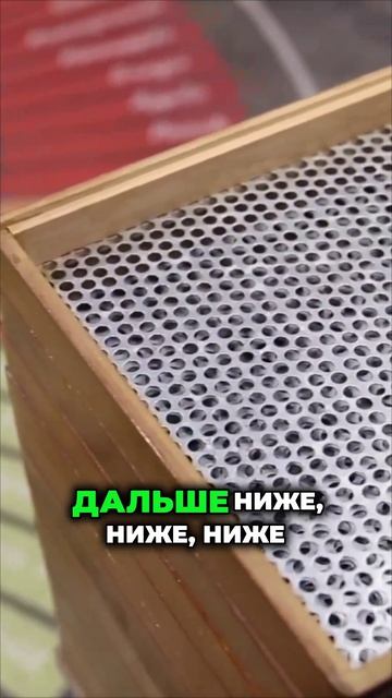 Что такое скрин зернового кофе и почему он важен при обжарке?