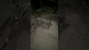 Схема чупаратора от подппиисччика вода горит