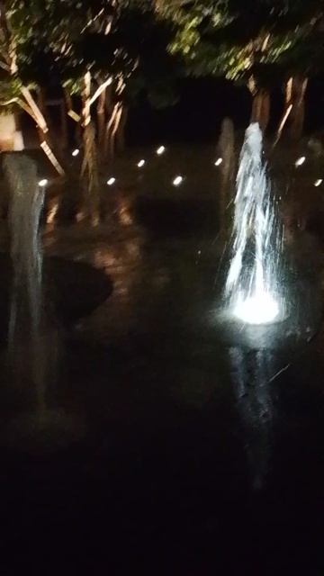 1000002783.mp4