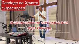 Благословение кипариса или тёрн Иакова