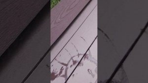 рисую водой на доске