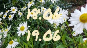 Лунный Календарь Комнатного цветовода с15.06-21.06.26г.