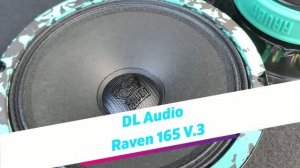Обзор Ультрагромких динамиков от DL Audio Raven 165 V.3