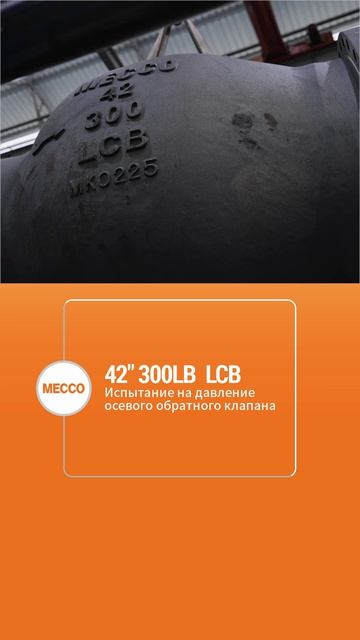 42'' 300LB  Испытание на давление осевого обратного клапана-MECCO