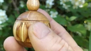 Шкатулка на цветущем жасмине