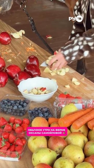 Оксана Самойлова готовит завтрак с лошадью на кухне, пока мы пьем кофе