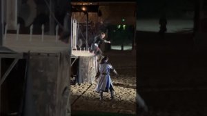 С премьеры «Бастард» в замке «Львиная голова»
