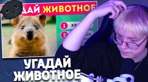 Угадай ЖИВОТНОЕ по фото! 🦁🦅🐙 / EmojiCool😎| РЕАКЦИЯ ДРЕЙКА | Emoji Cool