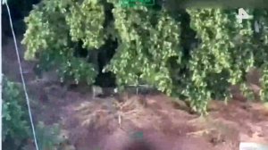 Видео уничтожения боевиков, скрытно передвигавшихся в Константиновке