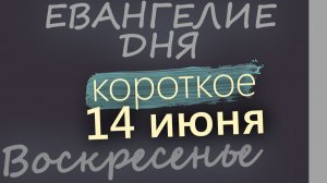 14 июня Воскресенье Апостольский пост Евангелие дня 2026 короткое!