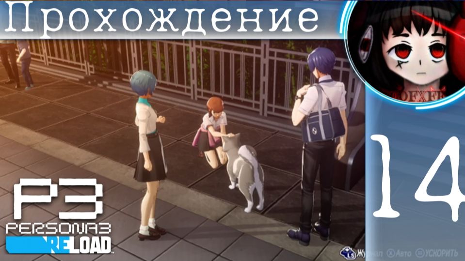 Пушистый друг : Persona 3 Reload #14 смотреть онлайн