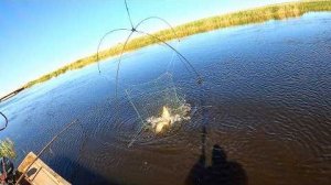ЭТО ПРОСТО УЛЁТ!!! ДИКИЕ САЗАНЫ ПРУТ КАК ТОРПЕДЫ! УГОДАЛИ НА ХОД ЖЁЛТОПУЗЫХ. Рыбалка на паук с лодки