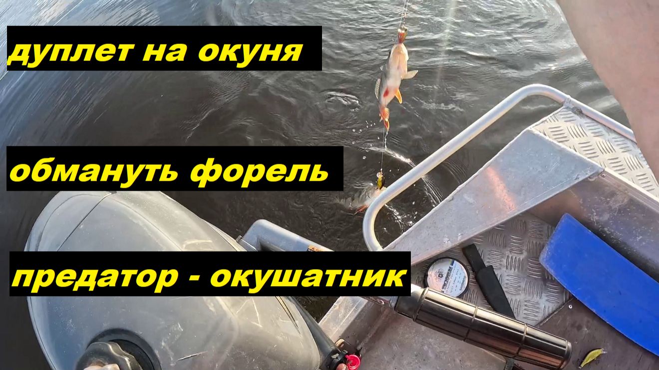 Дуплет на окуня. Обмануть форель. Предатор - окушатник. смотреть онлайн