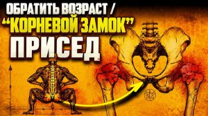 43. Твоё кресло убивает тебя тихо. Вот доказательство | За Гранью Кода