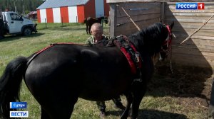 В День России в Новосибирской области прошли соревнования конников