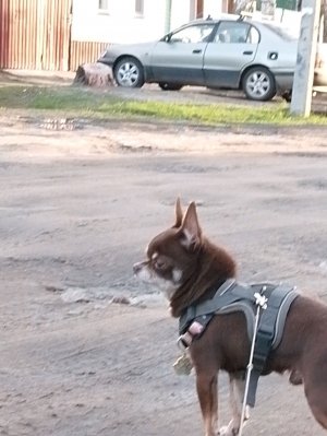 маленький секрет2