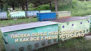 Пасека перед медосбором, и как всё у меня устроено
