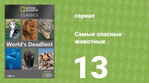 Самые опасные животные 13 серия (документальный сериал, 2007)