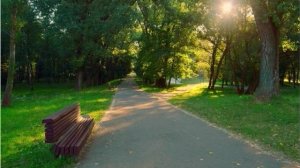 В парке городском