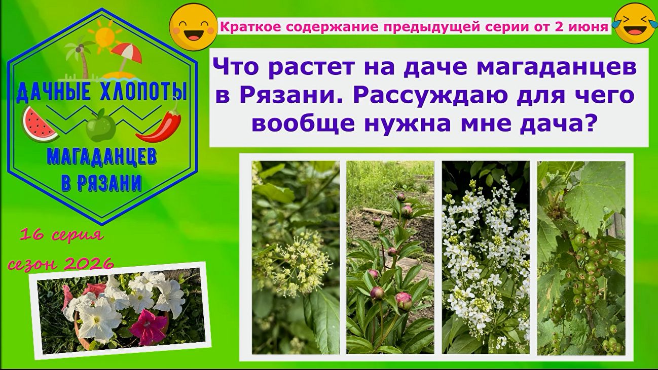 Краткое содержание предыдущей серии от 2 июня. Для чего нужна мне дача?