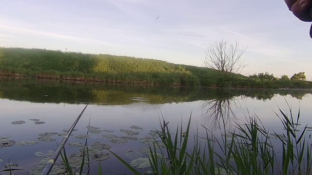 ВСЁ ПОШЛО НЕ ПО ПЛАНУ,НО РЫБКУ ПОЙМАЛ. смотреть онлайн