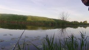 ВСЁ ПОШЛО НЕ ПО ПЛАНУ,НО РЫБКУ ПОЙМАЛ.