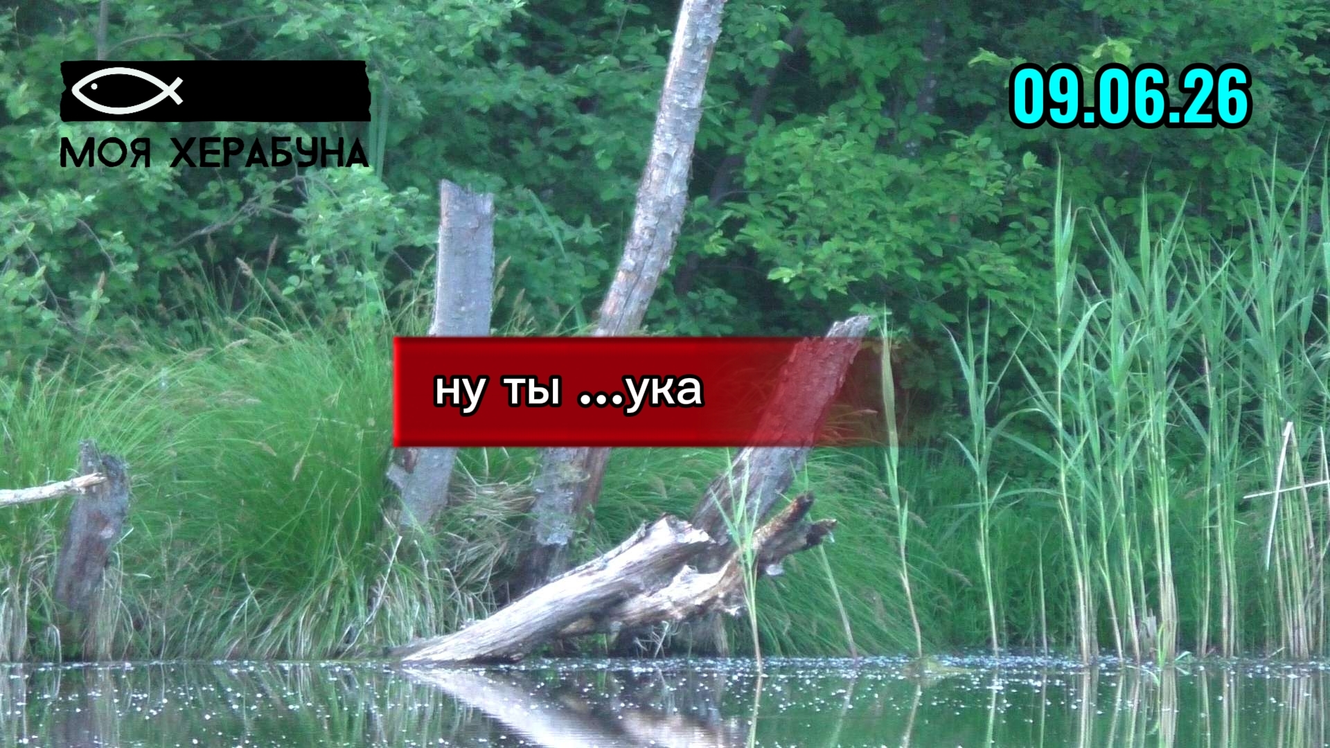 Херабуна. Ну ты ...ука. смотреть онлайн