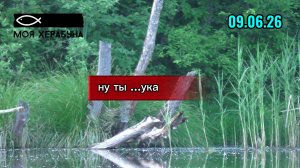 Херабуна. Ну ты ...ука.