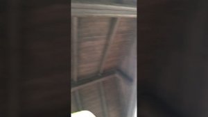 часть вторая на даче