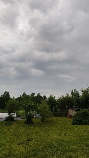 На даче