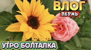 ВЛОГ«УТРО БОЛТАЛКА 🤗💞🌹🇷🇺»