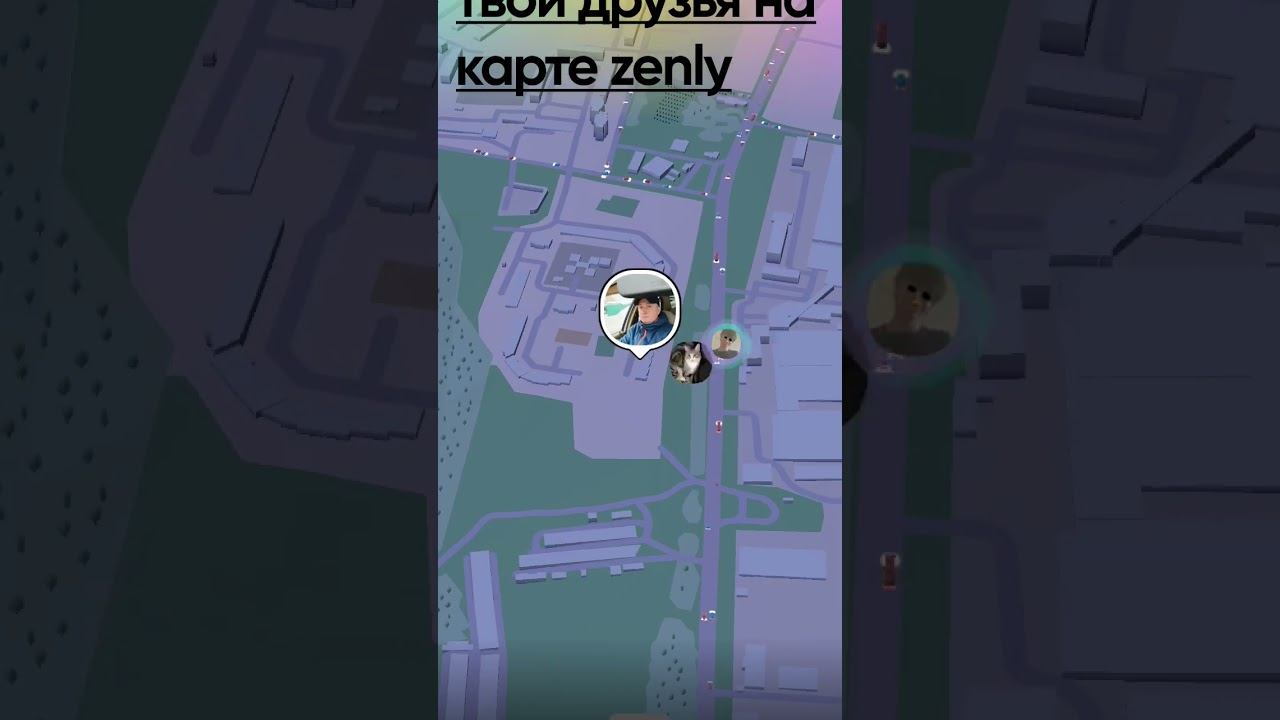 карта zenly