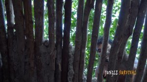 Постройка полноценной теплой хижины для выживания самостоятельно.