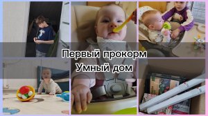 #19 Ввела прокорм 🥦 Я против умного дома 🏡 Жалюзи из Fixprace 🤨 Стоматологи💉
