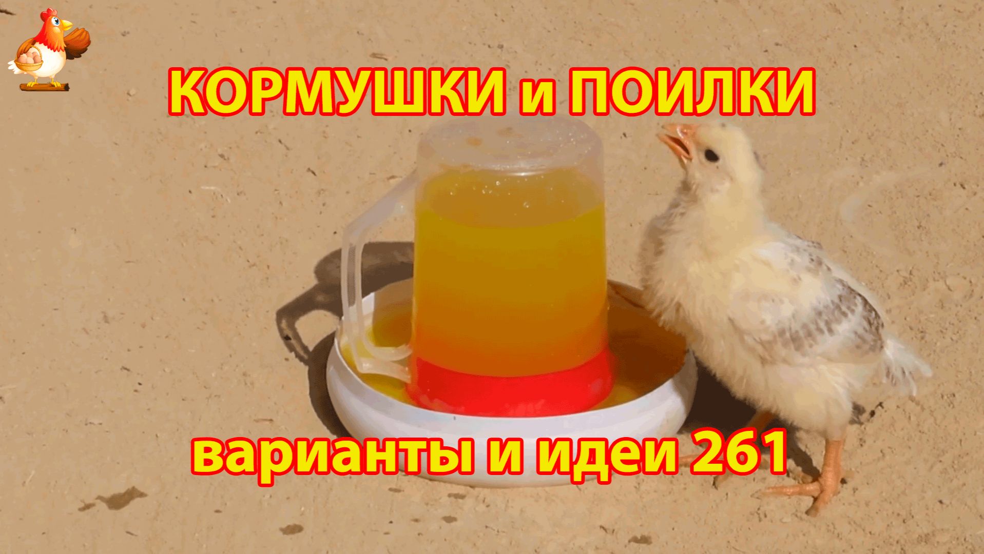 Кормушки и поилки для кур своими руками 261 🪚✂️ Пошаговая инструкция как сделать 🐔 🐓❣️