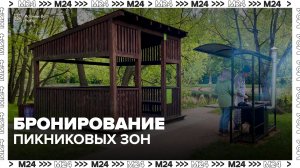 Москвичи могут забронировать мангальные зоны в парках столицы - Москва 24