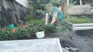 ПРОСТАЯ ЖИЗНЬ 45// СДЕЛАЛА ПЕРЕСТАНОВКУ НА ВЕРАНДЕ// СОБРАЛА ПЕРВУЮ КЛУБНИКУ// ПРИЛИЧНО