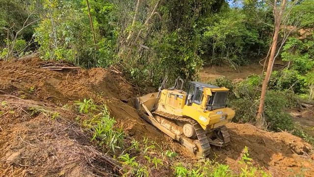 The Most Suitable Dozer Works in The Jungle - CAT D7R Reshaping Plantation смотреть онлайн
