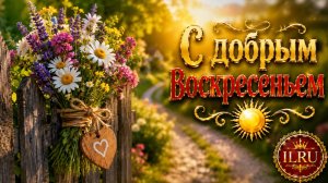 С Добрым Воскресеньем ☀️ Красивые Пожелания Хорошего Дня и Музыкальная Открытка