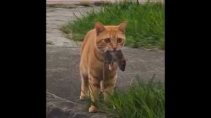 ПОЙМАЛ ЖЕНУ НА ИЗМЕНЕ