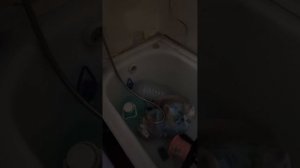 убитая квартира/ расхламиление / бабушкин ремонт / хрусталь посуда ссср / стенка сервант