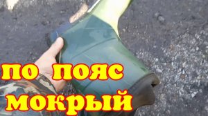 Поиск металла после дождя. Металлокоп