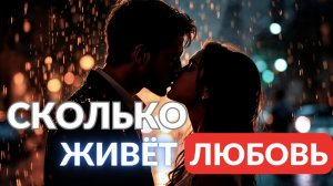 Сколько живёт любовь