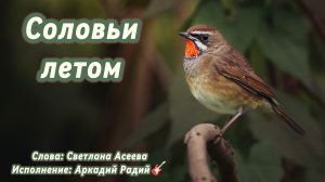 Соловьи летом.
Песня под гитару
