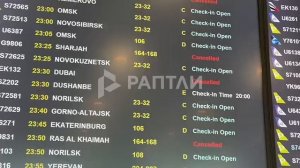 Обстановка в аэропорту Домодедово 🛬